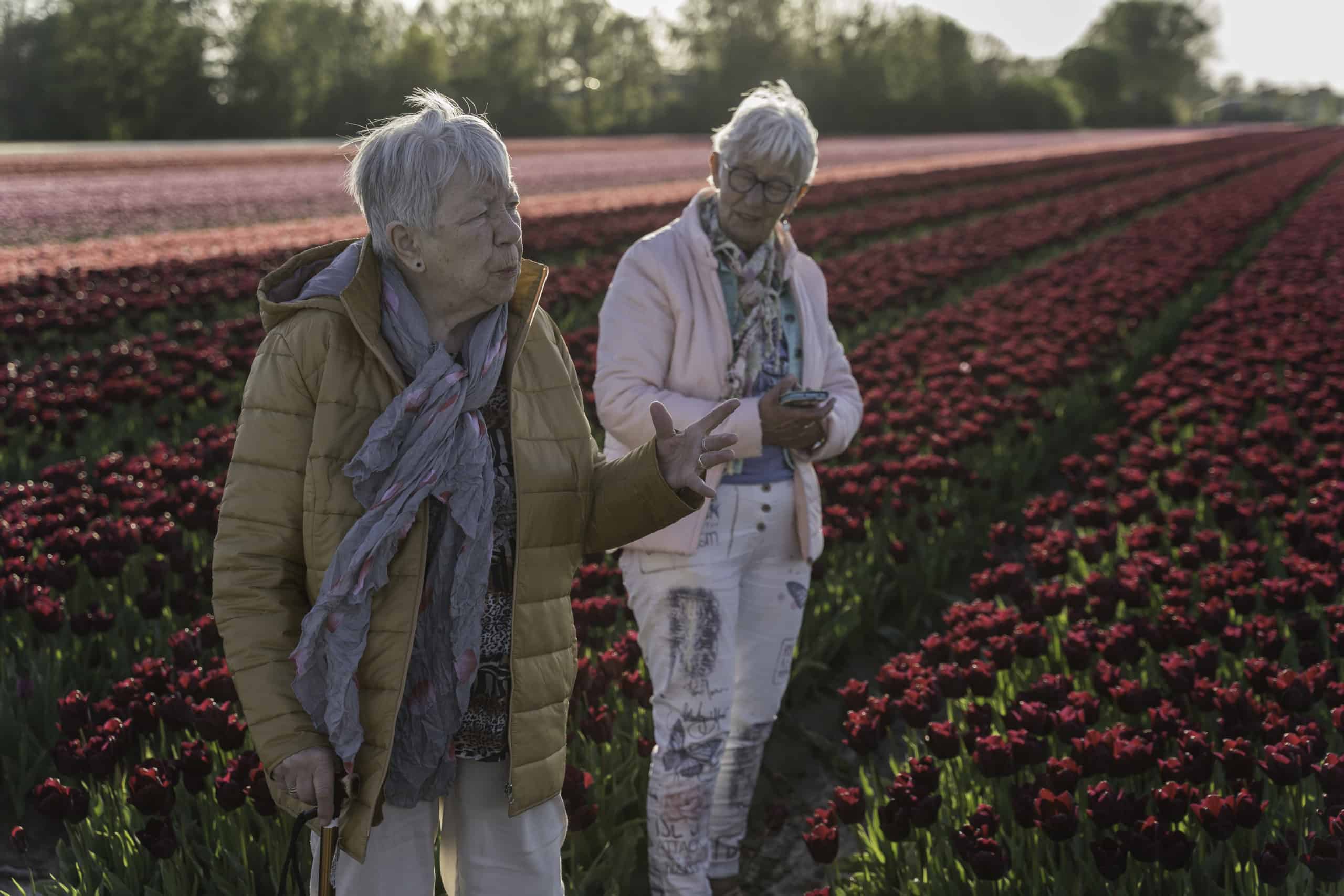 Marianne l Lies l Tulpenvelden l 2021