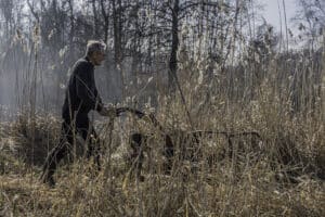 Meneer van Beek l Weerribben l Natuurgebied