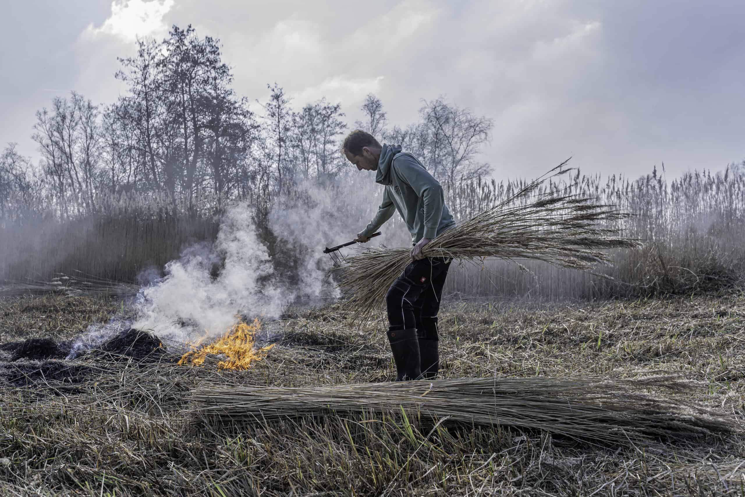 Meneer van Beek jr. l Rietverbranding l Weerribben